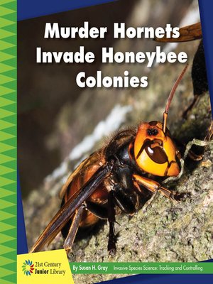 cover image of Murder Hornets Invade Honeybee Colonies
